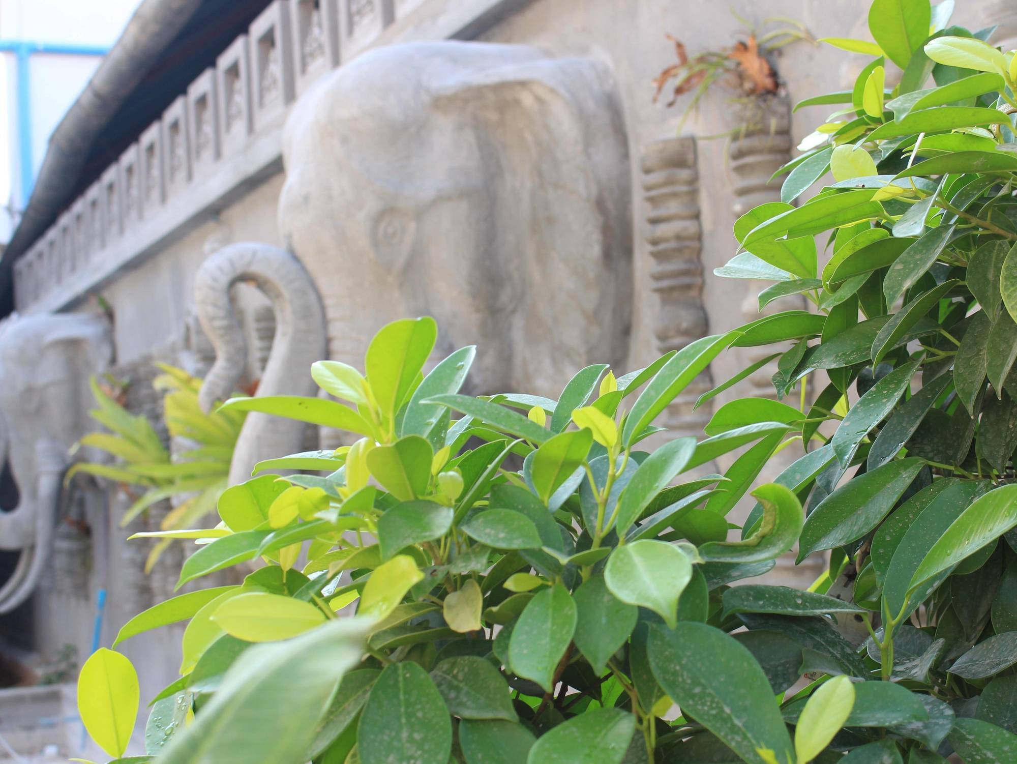 Fancy Boutique Villa Hotel Siem Reap Exterior foto